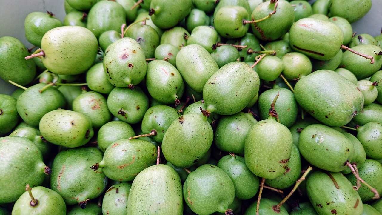French Kiwi Berries Permitted To Enter China Produce Report